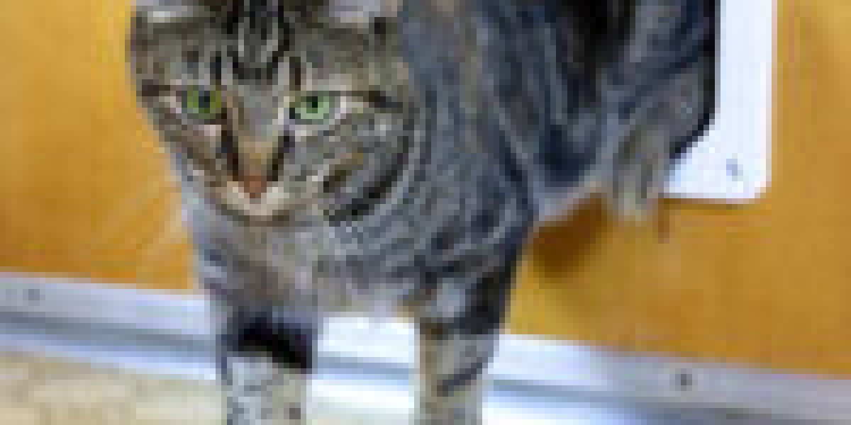 15 Best Cat Flap Installer Bloggers You Must Follow