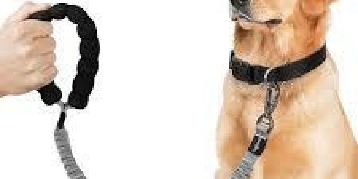 Trusted Solutions for Every Pet Owner