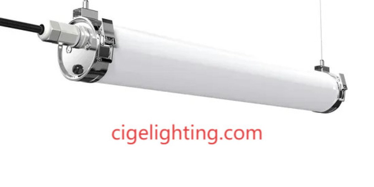Cigelighting's Provenance Guarantee: Traceable 36w Triproof Light