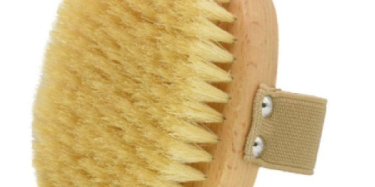 Pawtechpet Pet Brush Transforming Daily Grooming Routines