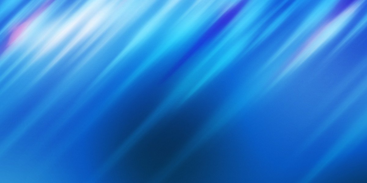 Understanding the Cost of NetJets Membership: An Observational Evaluation