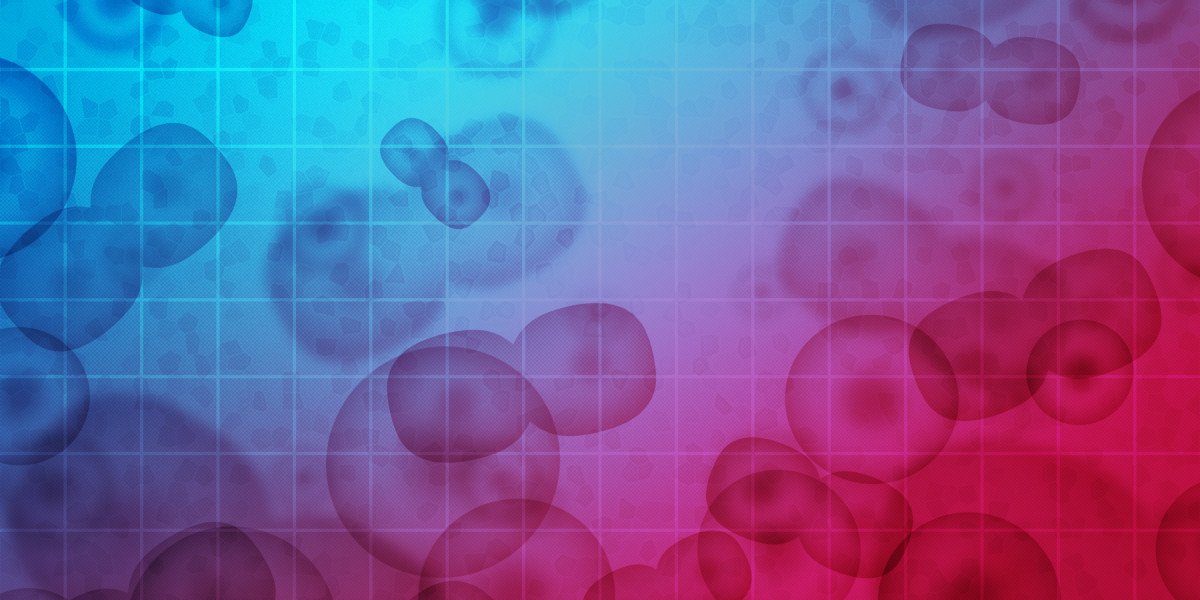 Understanding the Prices of Chartering A Private Jet: A Comprehensive Information